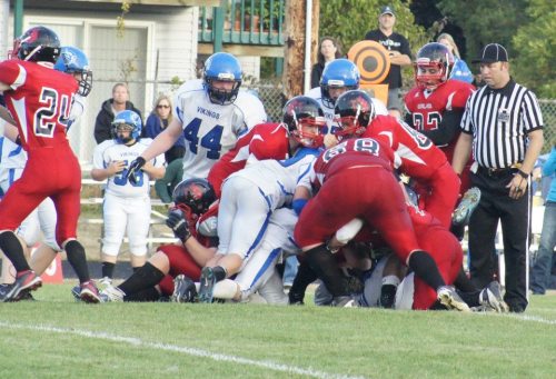 Be the big dog in the dog-pile! (Shelli Trumbull photo)