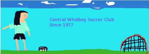 Carolyns-soccer-thing