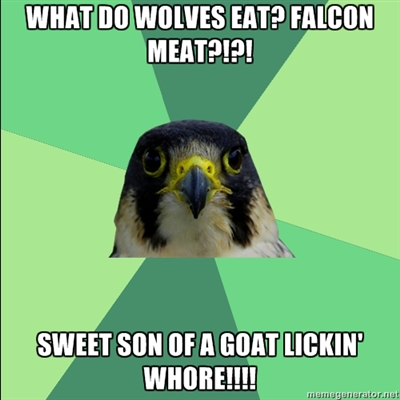 falcon1