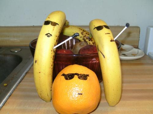 The bloggers already won, News-Times. You're like a zombie walking around that doesn't realize it's dead.