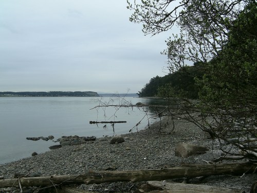 It's like a jacuzzi, isn't it?