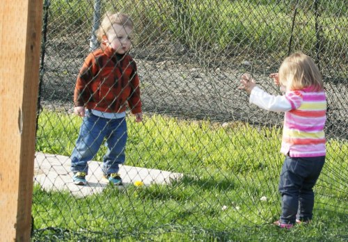 "I love you, you mad fool! No fence will keep us apart!!"