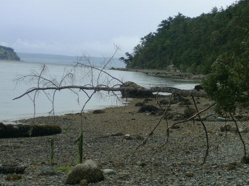 It's like the freakin' Bahamas, isn't it?