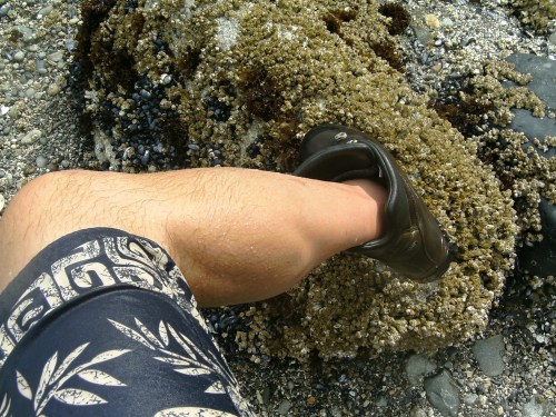 These boots are made for (water) walkin'.