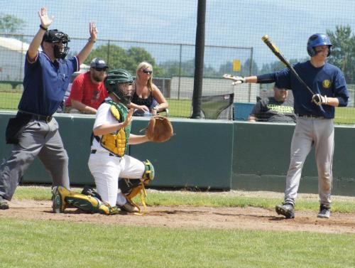 "Stop! STOP!! Bug on the plate!!" (Shelli Trumbull photos)