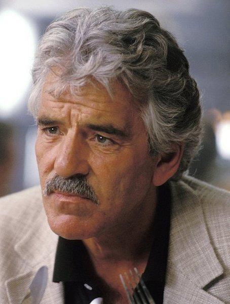 Dennis Farina (Photo copyright Touchstone Pictures)
