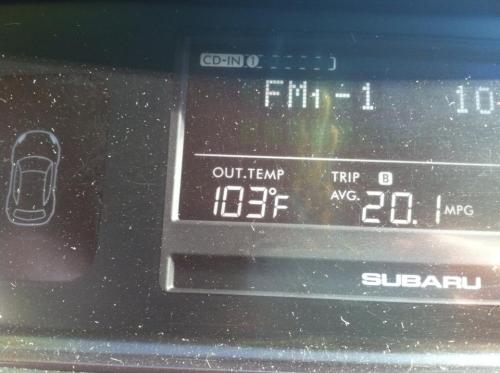 Toasty. (Kerry Rosenkranz photo)