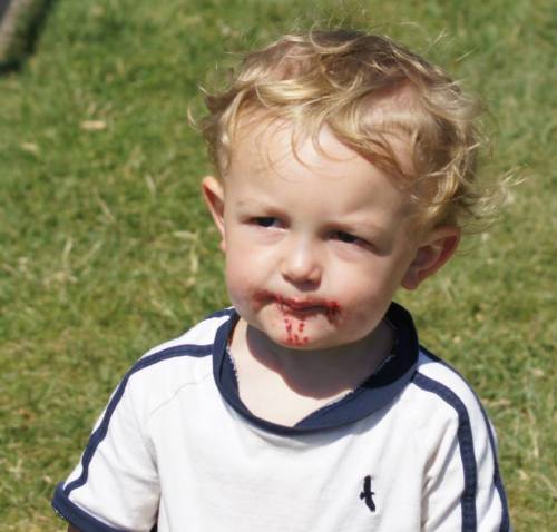 "Cake? I have no clue what you're talking about, ma'am!" (Shelli Trumbull photos)
