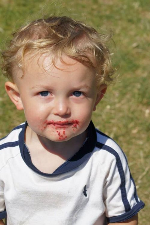 "If I had seen this cake you speak of, which I didn't, I'm sure it would have been delicious."