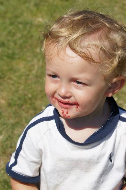 "They don't call me, allegedly, the Cake Bandit for nothing!!"