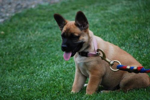 "That'll do, son. That'll do."