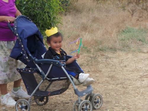 The king of the neighborhood.