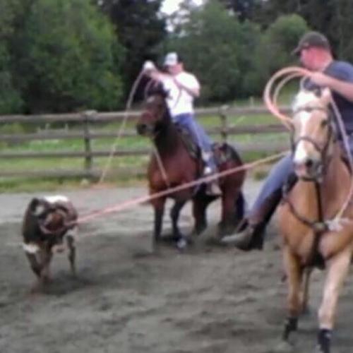 Brendan Coleman (left) and Cody West practice the art of team roping.