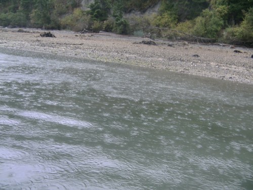 The sky piddles on Penn Cove.