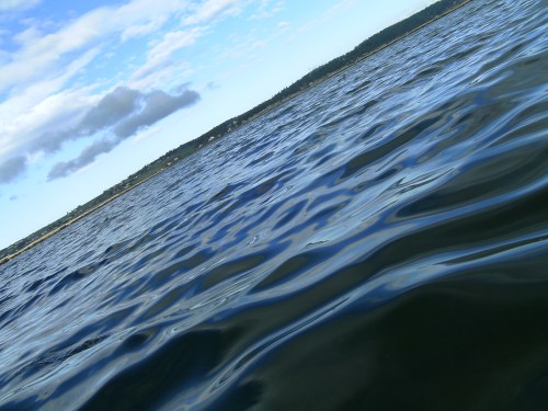 Let's go ride the roller coaster.