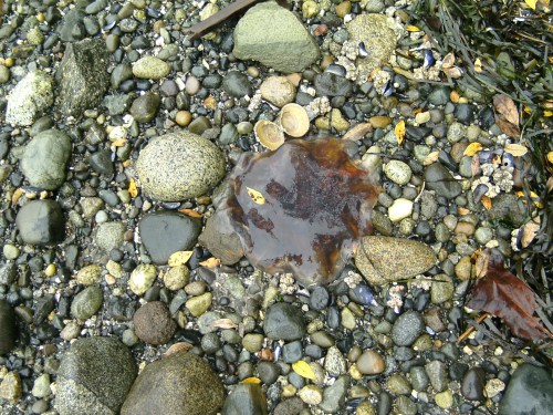 "Yeah, I'm fine right where I am, Captain Brain Freeze..."