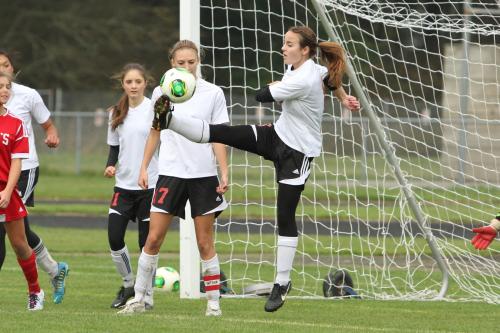 Defender Ana Luvera clears the ball from in front of her net.