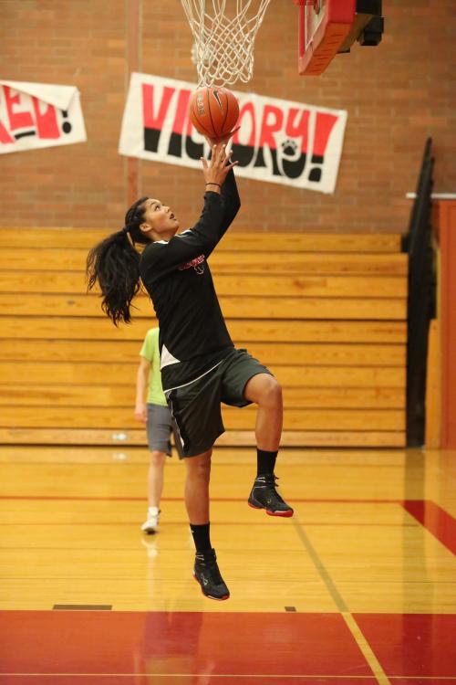 High-flying Makana Stone will team with Hailey Hammer to give CHS a potent scoring attack.