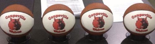 Special mini basketballs given to the team's seniors. (Amy King photo)