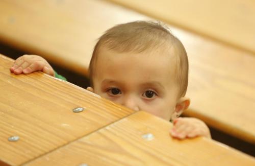 "Cupcakes?!?!? Did you say cupcakes?!?!?!?!"