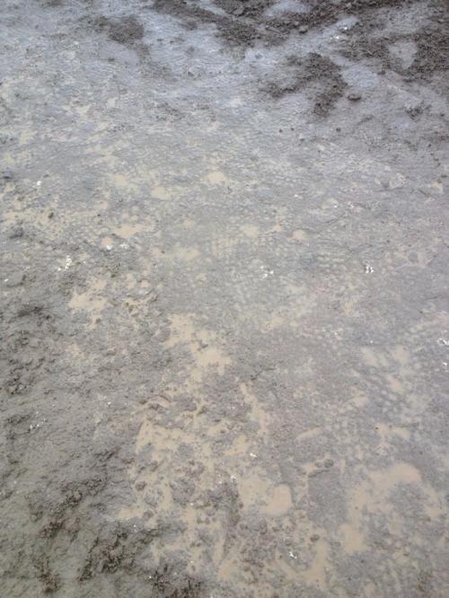 The field gets a tad wet.