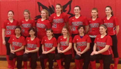 YOur 2014 CHS softball squad. (Amy King photo)