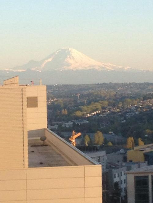 The view of Mt. Rainier from King's hospital room. (Amy King photo)