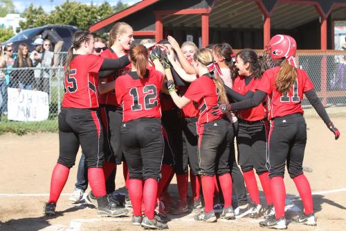 The dog pile at home.