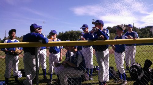 Two wins away from state. (Lisa Jenne photo)