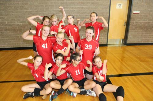 "Hercules! Hercules!!"