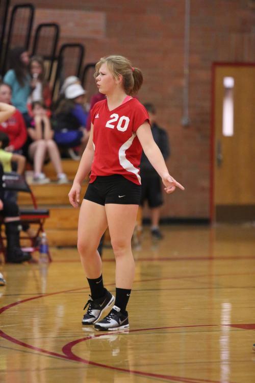 "Did you see that, Bailey? Did you?!?!? Right there. I left half the skin off my kneecap ... right there!"