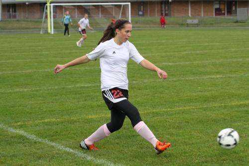 Marisa Etzell scored ? goals during her senior season on the pitch.