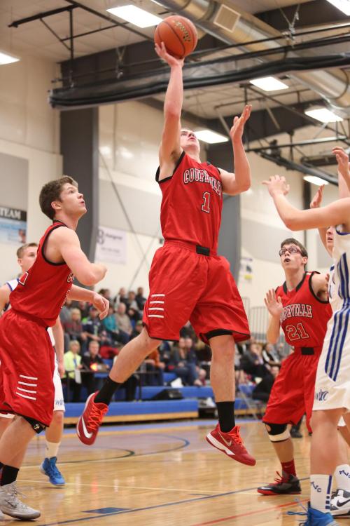 Wiley (John Fisken photo)