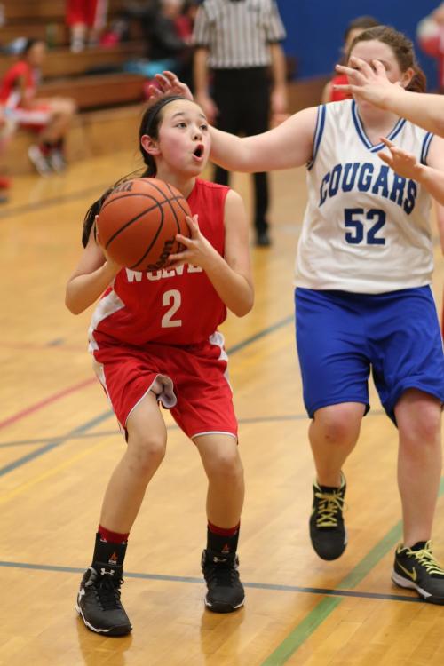 Scout (John Fisken photos)