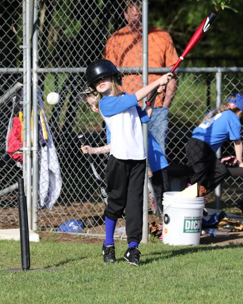 "You can try moving the fences back. No one keeps me inside the yard!!"