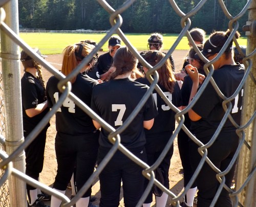 South Central Sox players (Kelly Crownover photo)
