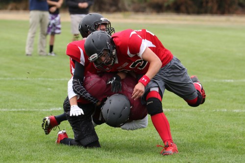 tackle