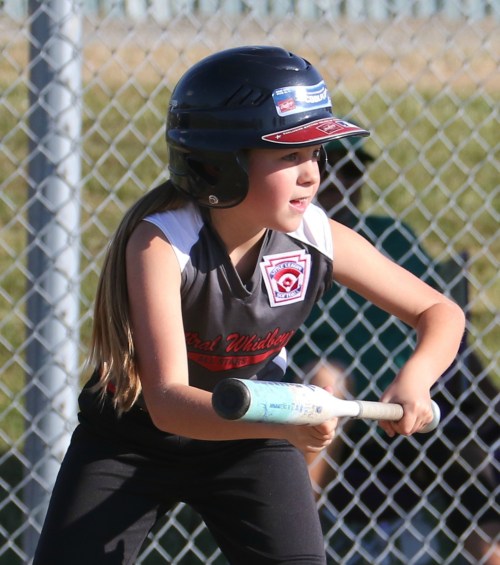 The art of the bunt. (John Fisken photos)