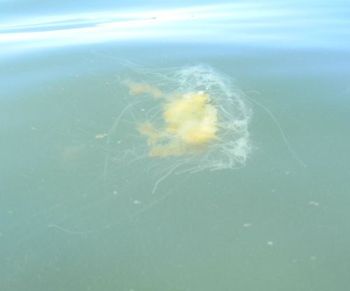 "No more photos!! I got swimsuits to get all up in!!"