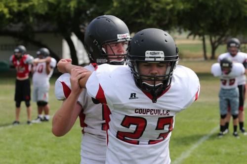 Welling and Battaglia