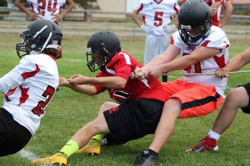 "Everyone falls down!!"