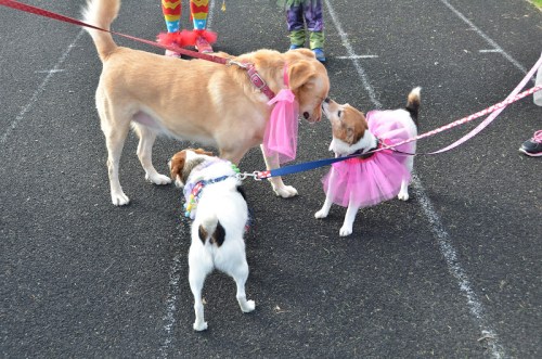 "Yeah, I'm pretty sure I set a PR. You?"