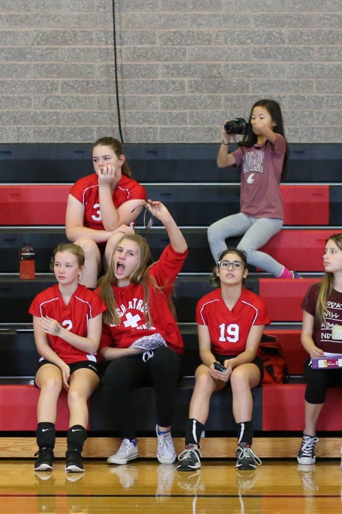 "Camera man! Camera guy!! CAMERA DUDE!!! Oh good, I think he saw me."