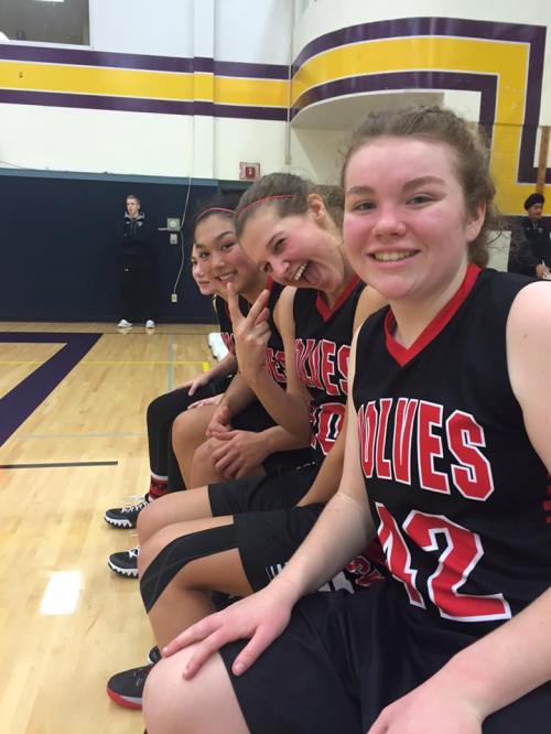 Wolves (Amy King photo)