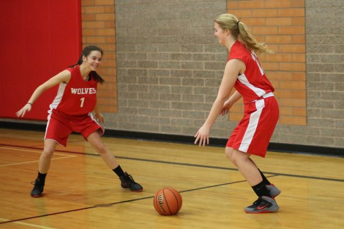 Maya Toomey-Stout (left) shadows Hannah Davidson during a dribbling drill.