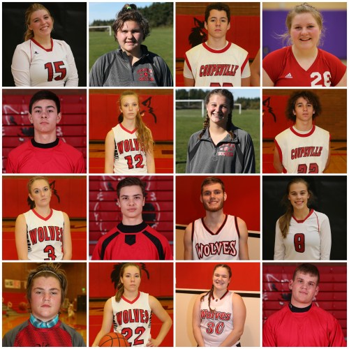 Wolf three-sport athletes