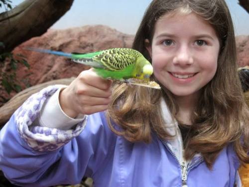 Miss Hurlburt, friend to animals.