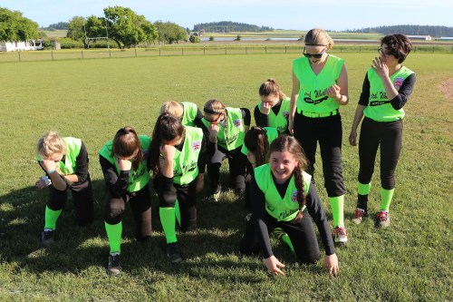 The Venom will play their season finale at home 6 PM Thursday.