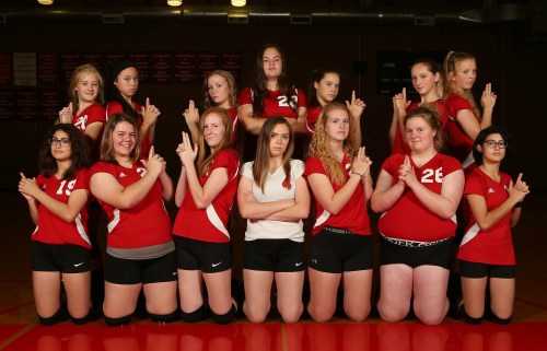 Best in the biz. 14 of the 15 girls who played in a Wolf JV volleyball match this season. (John Fisken photo)